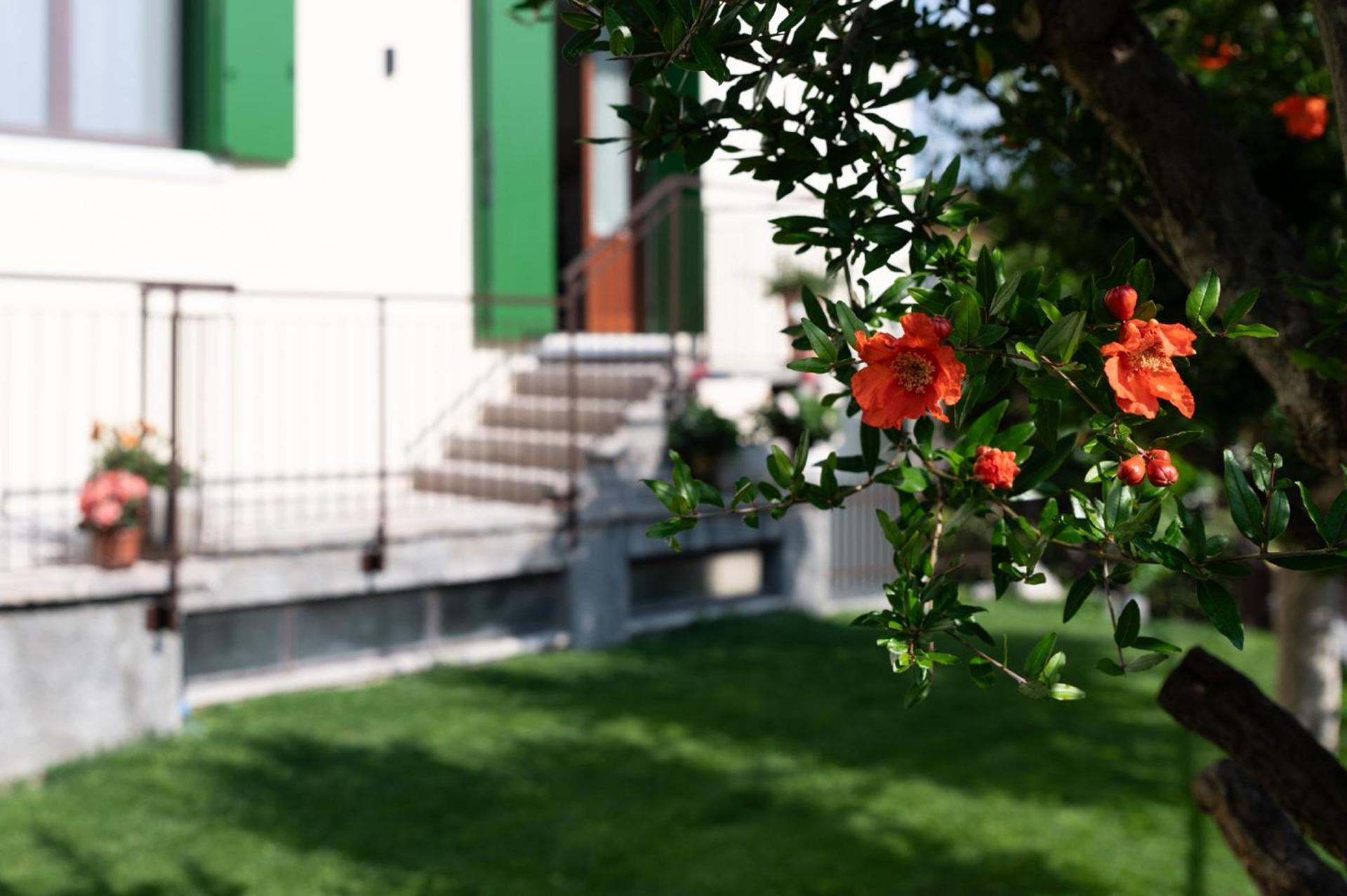 Giardino Del Borgo Appartamento Valpolicella SantʼAmbrogio di Valpolicella Dış mekan fotoğraf